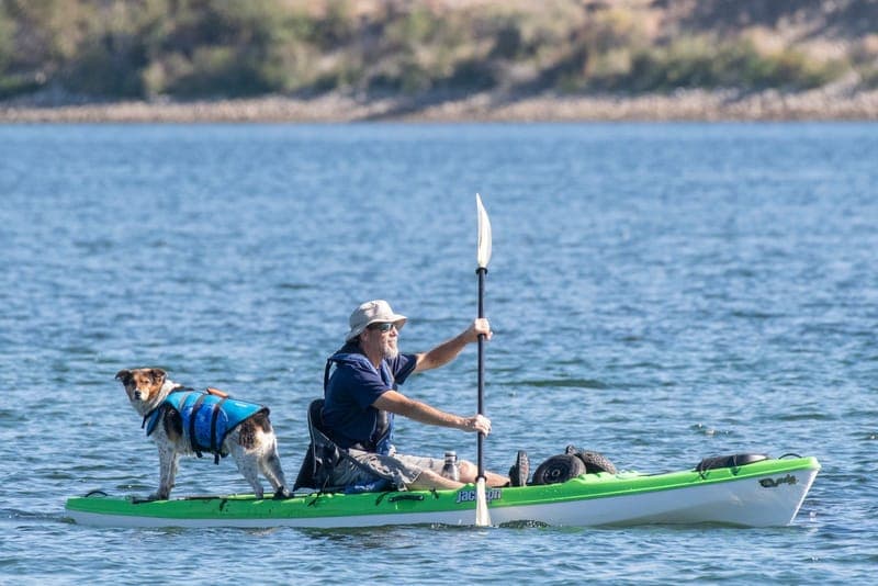 A paddler on a sit-on-top kayak with a dog in a life vest standing on the bow